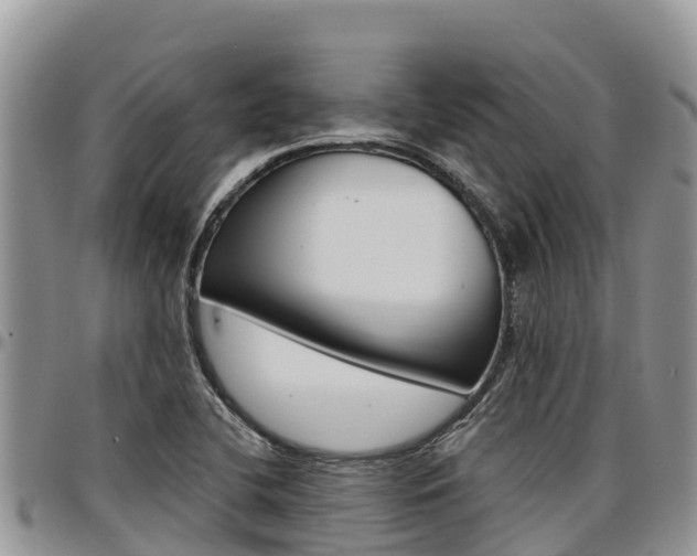 X0000097291412200802151048