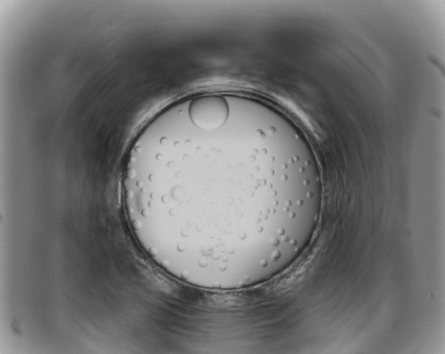 X0000097291413200802151048