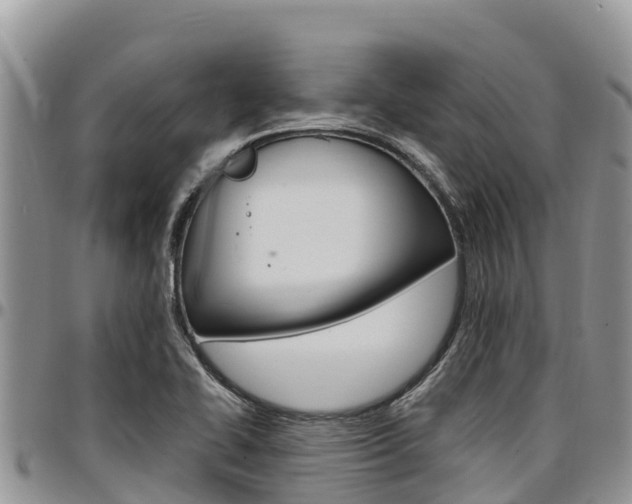 X0000097291414200802151048