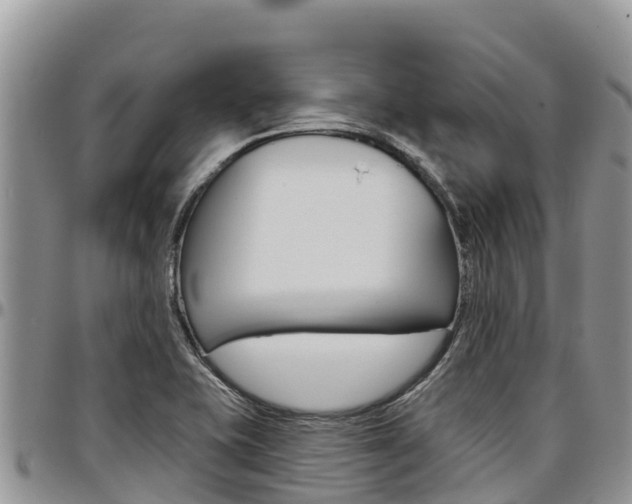 X0000097291415200802151048
