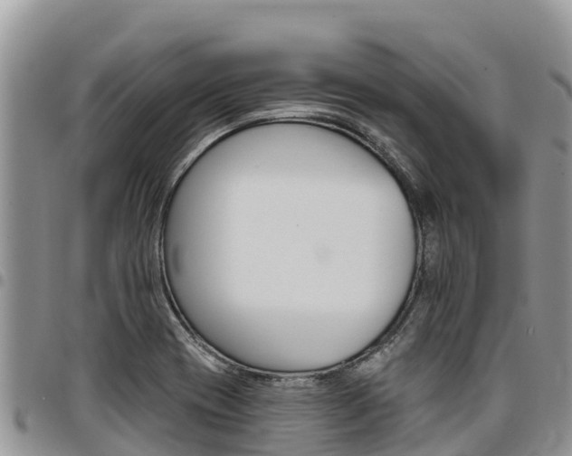 X0000097291417200802151048