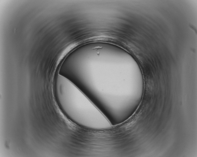 X0000097291418200802151048