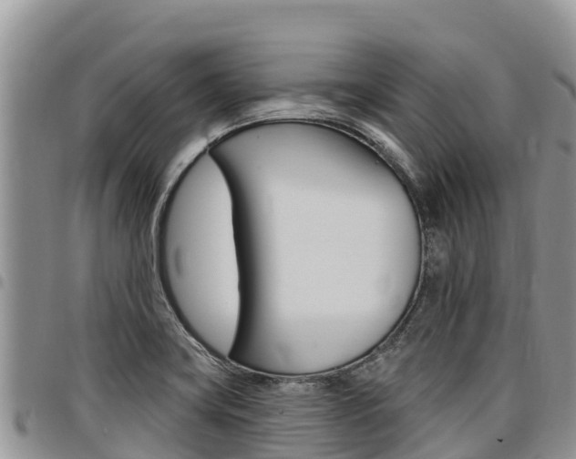 X0000097291419200802151048