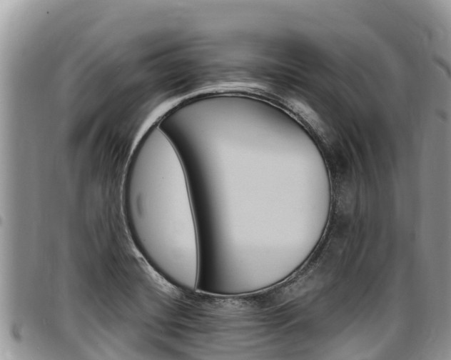 X0000097291420200802151048