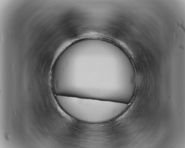 X0000097291421200802151048