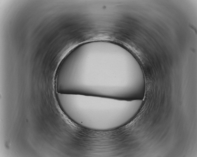 X0000097291423200802151048