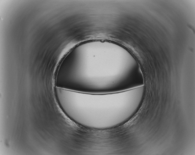 X0000097291424200802151048