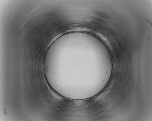X0000097291425200802151048