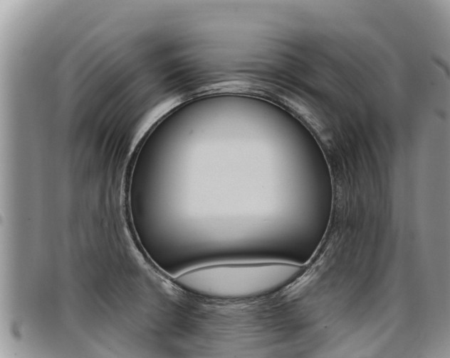 X0000097291426200802151048