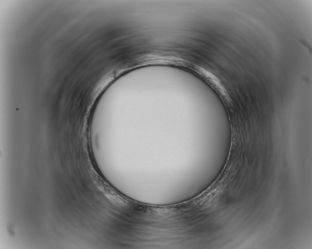 X0000097291427200802151048
