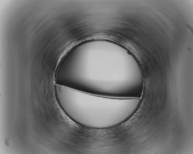 X0000097291428200802151048