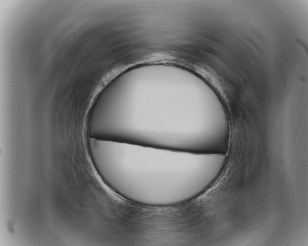 X0000097291429200802151048