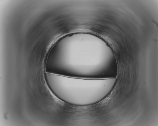 X0000097291430200802151048