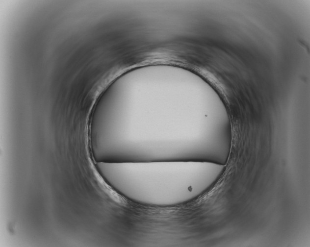 X0000097291431200802151048