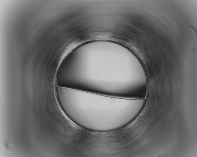 X0000097291432200802151048