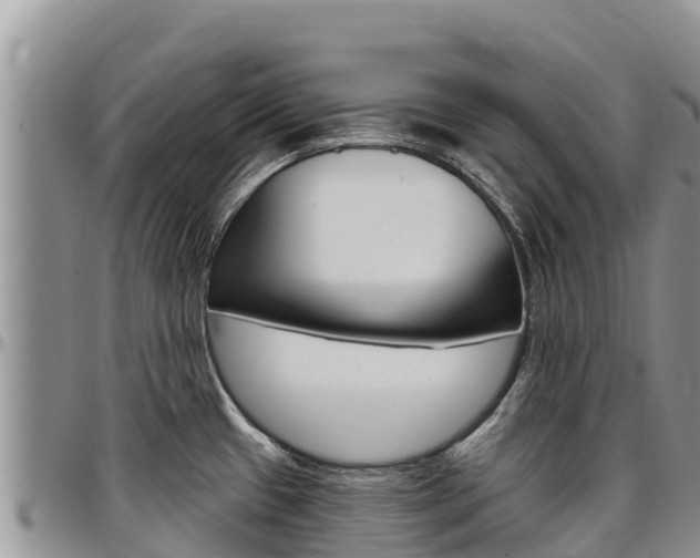 X0000097291433200802151048