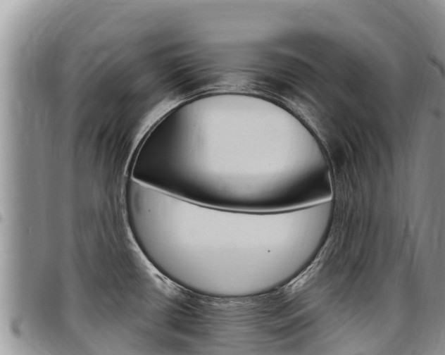 X0000097291434200802151048