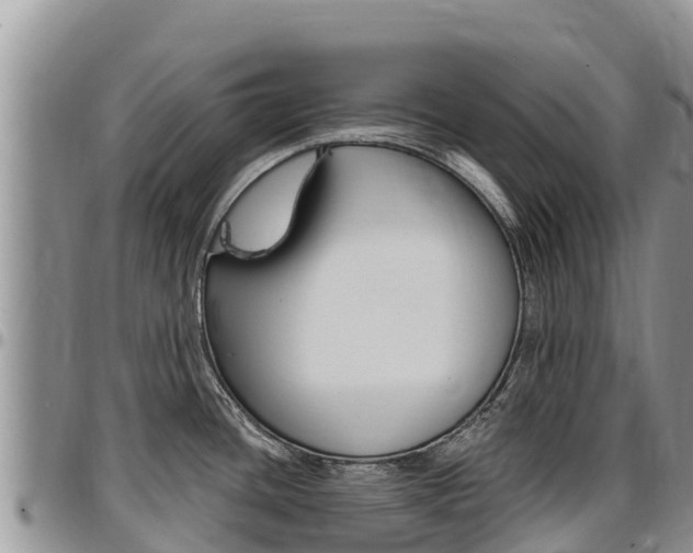 X0000097291436200802151048