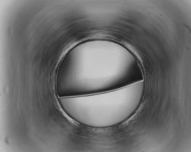 X0000097291437200802151048