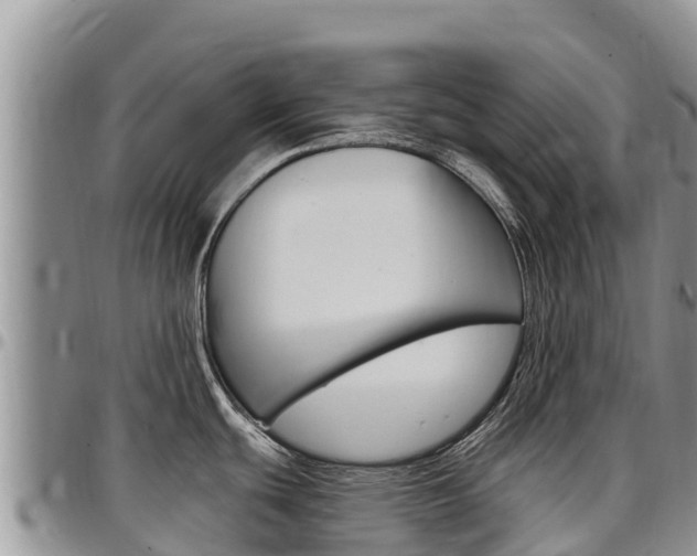 X0000097291439200802151048