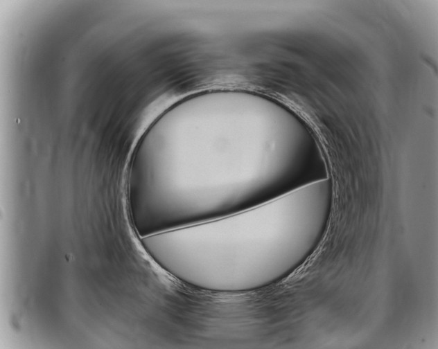 X0000097291440200802151048
