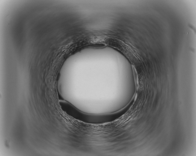 X0000097291441200802151047