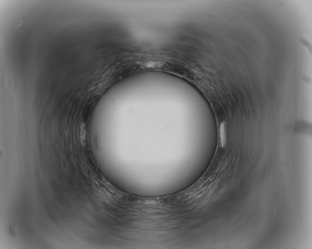 X0000097291443200802151047