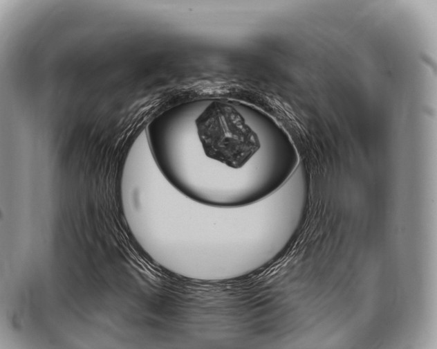 X0000097291444200802151047