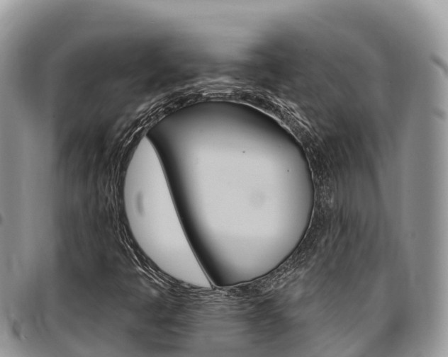 X0000097291445200802151047