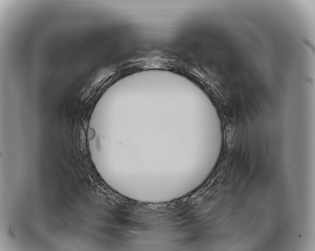 X0000097291446200802151047