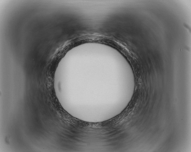 X0000097291447200802151047