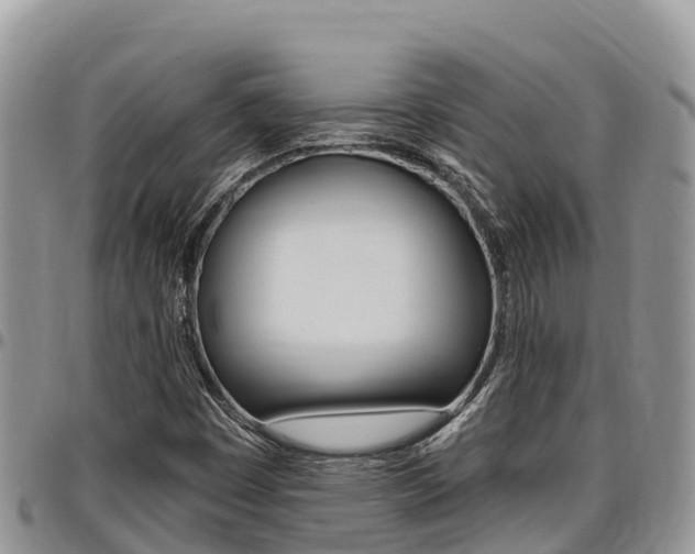 X0000097291449200802151047