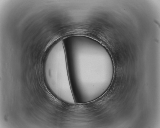 X0000097291450200802151047