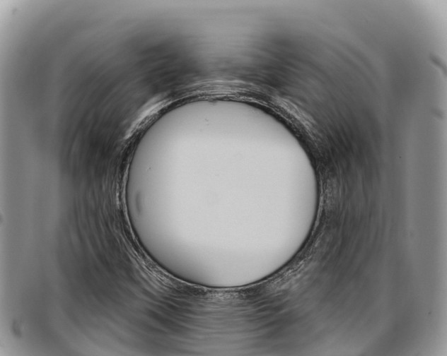 X0000097291451200802151047