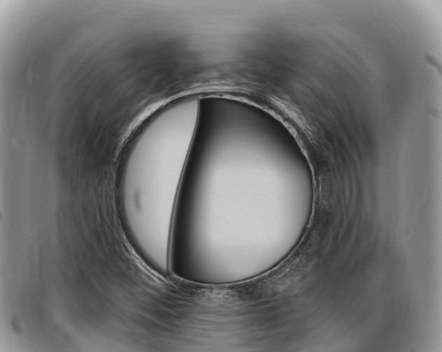 X0000097291452200802151047