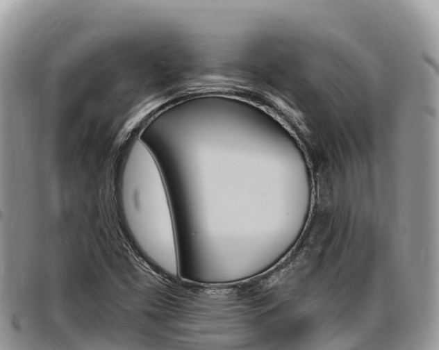 X0000097291453200802151047