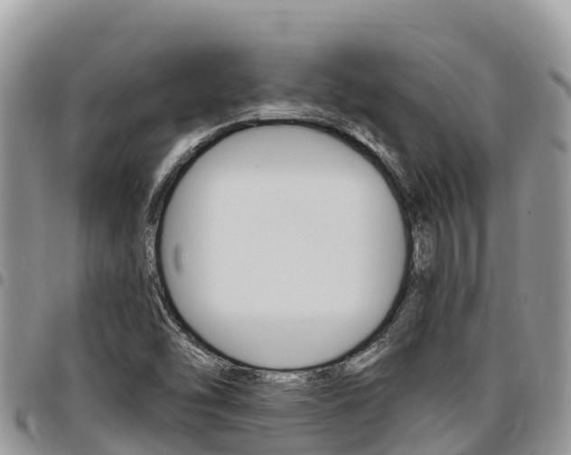 X0000097291454200802151047