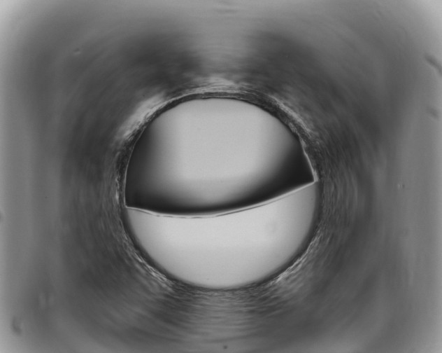 X0000097291455200802151047
