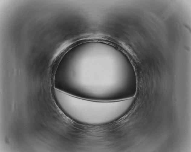 X0000097291456200802151047