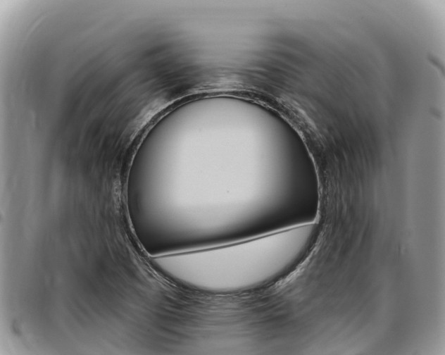 X0000097291457200802151047