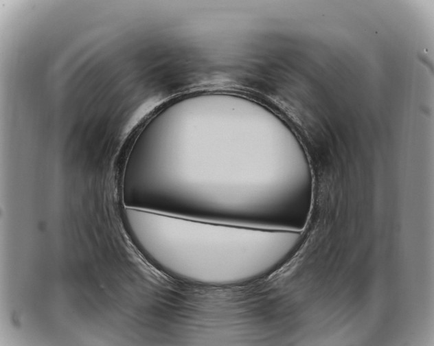 X0000097291458200802151047