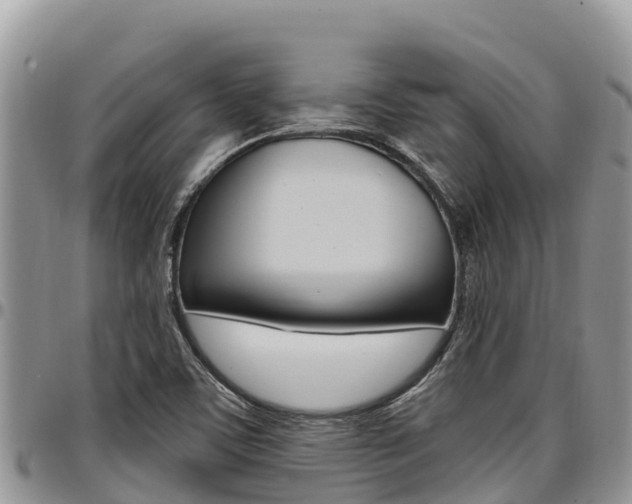 X0000097291459200802151047