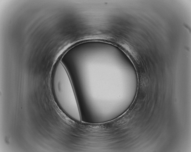 X0000097291460200802151047