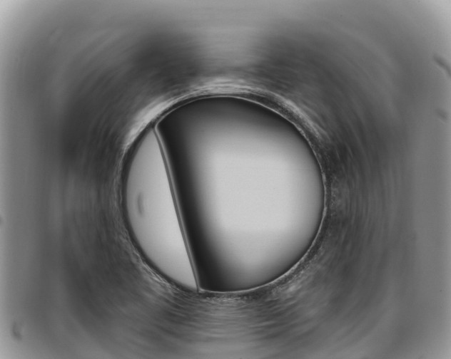 X0000097291461200802151047