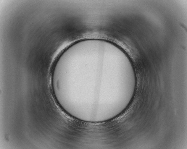 X0000097291462200802151047