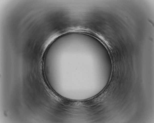 X0000097291463200802151047
