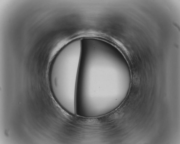 X0000097291464200802151047