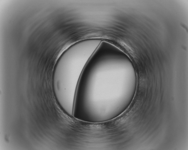 X0000097291465200802151047