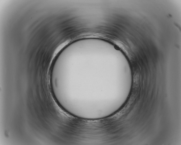 X0000097291466200802151047