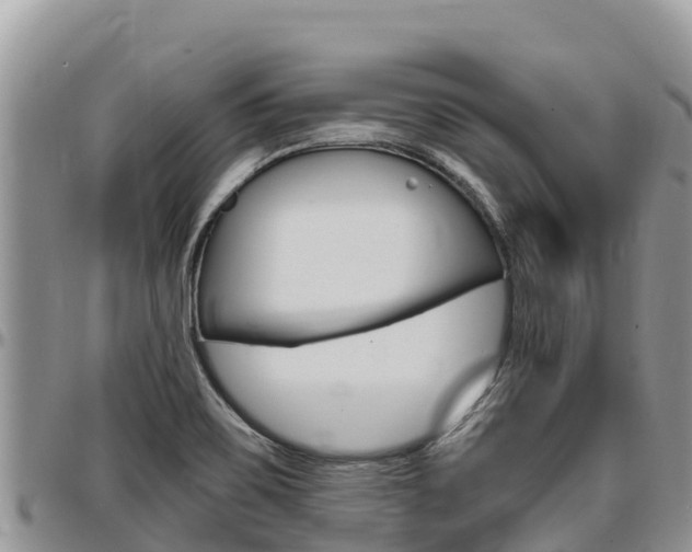X0000097291467200802151047